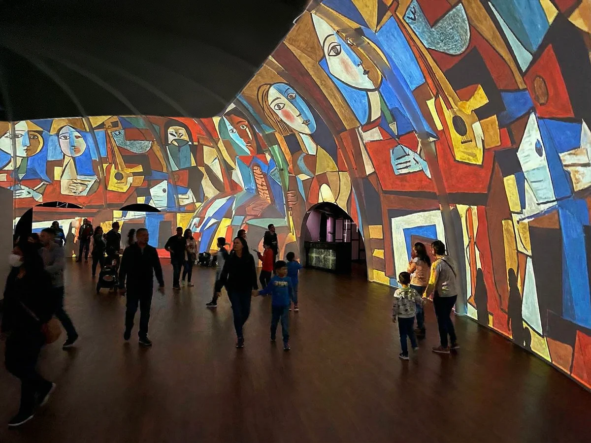 Cultura Guacamaya Gallery Asset 3