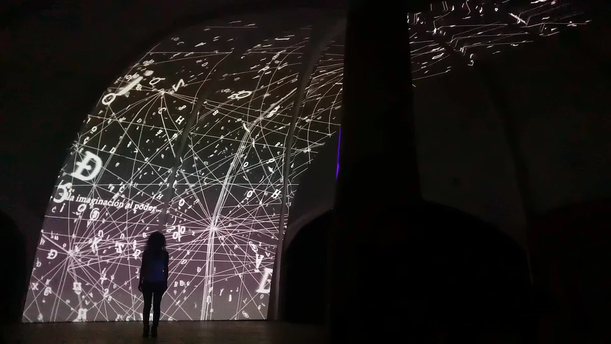 Cultura Guacamaya Gallery Asset 4